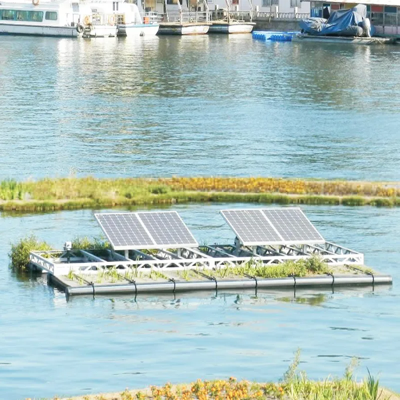 Tionscadal bainistíochta abhainn